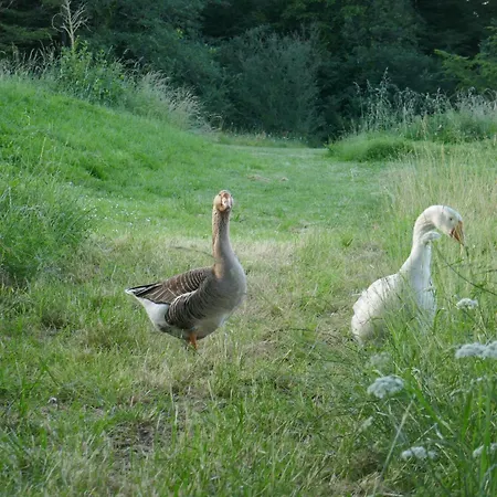 Crusoe Beaumont-de-Lomagne